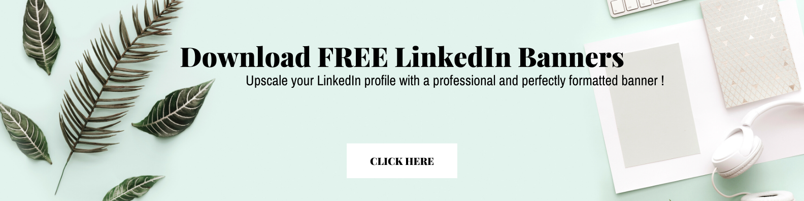 How To Optimize and Enhance Your LinkedIn Profile | ReRouting.ca